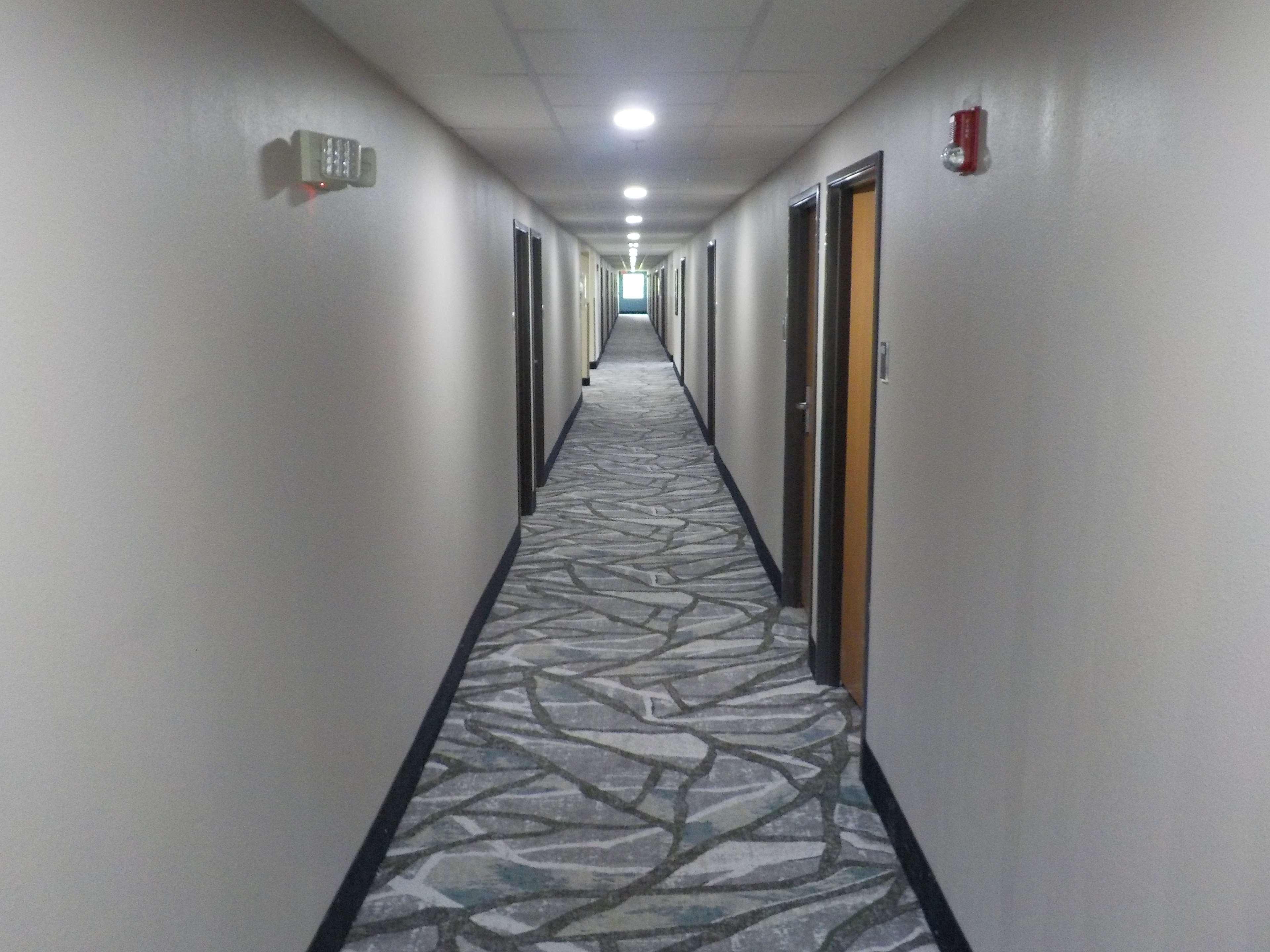 Marienville Mj Inn And Suites מראה פנימי תמונה